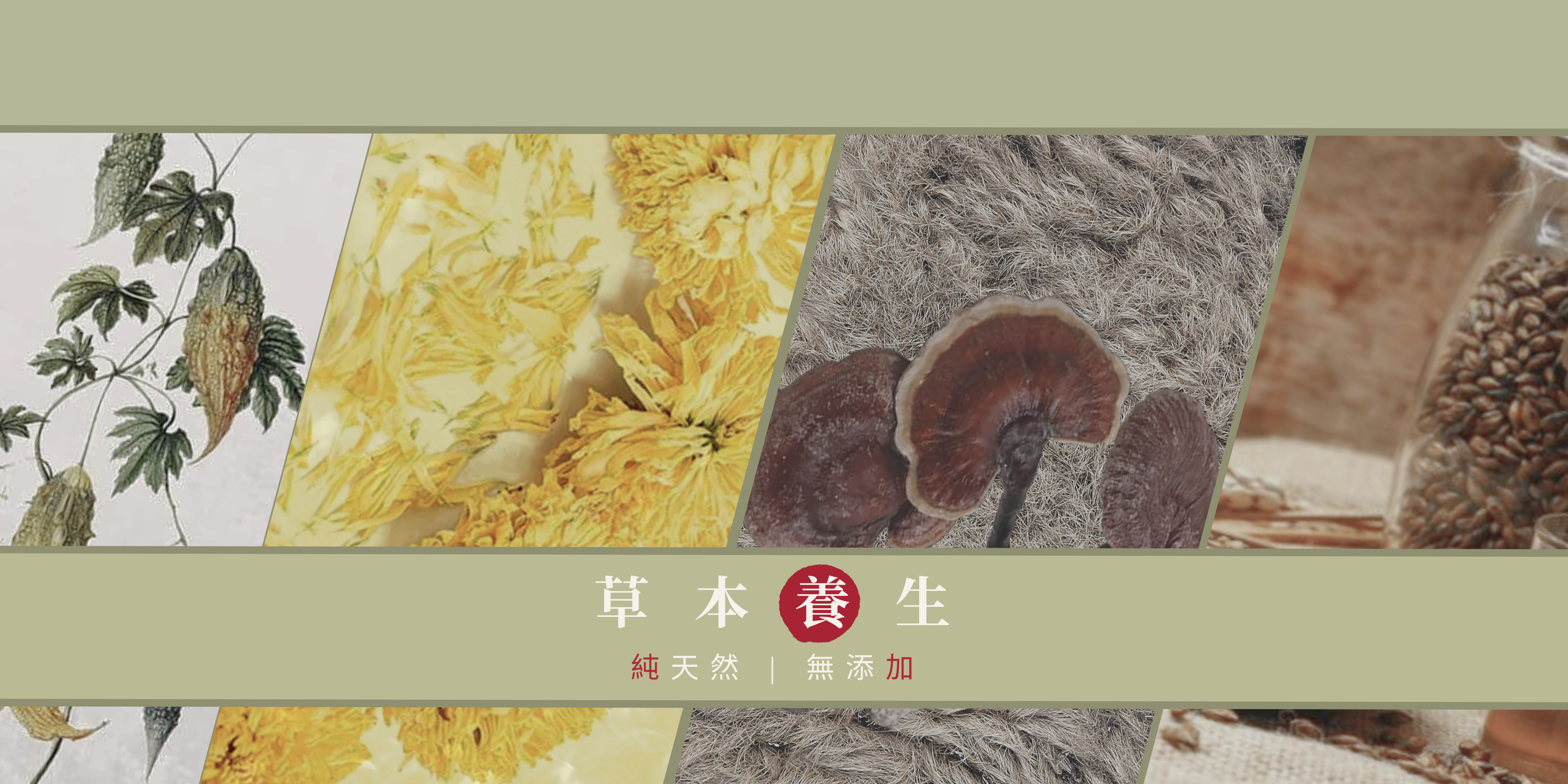 Herbal banner displaying different flavors of tea